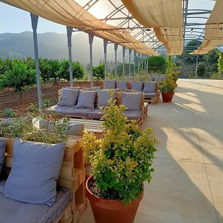 Beautiful 15th Century On 30 Acre Estate, For Families Only * Alella